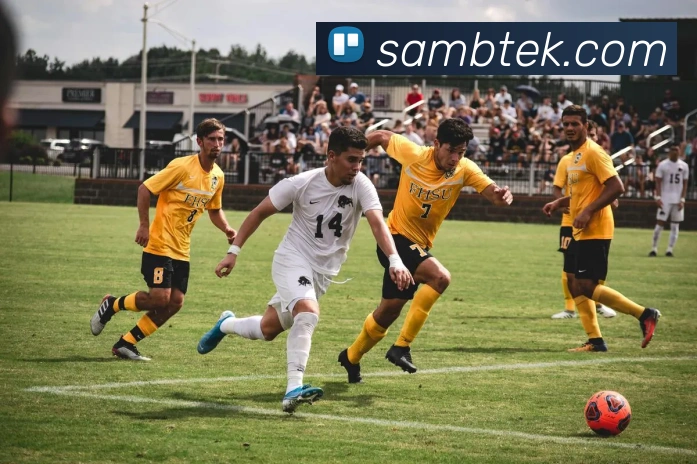 九游在线官网登陆APP 封面图